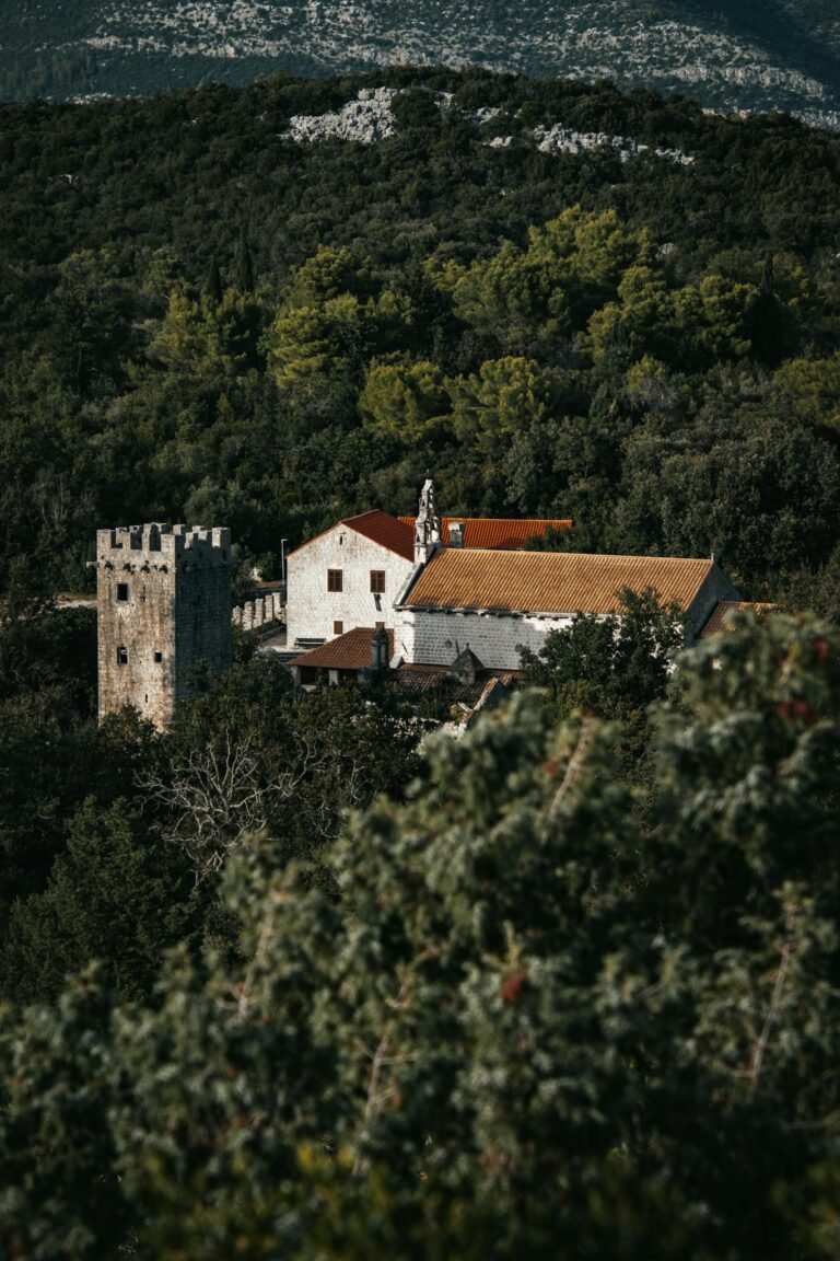 Aerial view of a historic village nestled in lush greenery in Dubrovnik-Neretva County, Croatia.